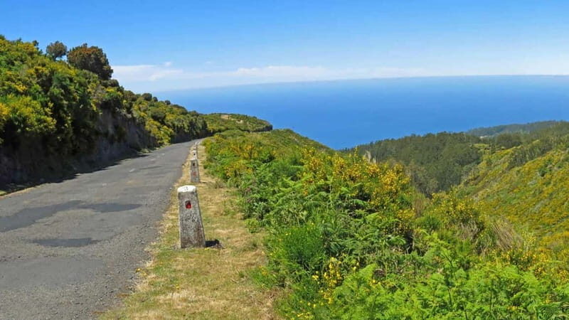 Câmara de Lobos, Pico da Torre, and Porto Moniz Tour - The Sum Up