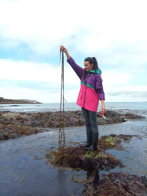 Camaret-sur-mer: Seaweed picking and cooking workshop - Final Thoughts