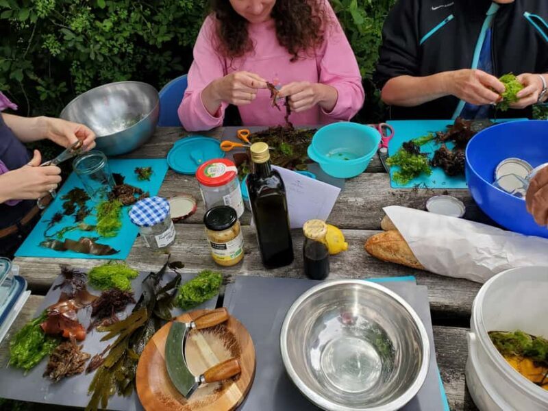 Camaret-sur-mer: Seaweed picking and cooking workshop - FAQ