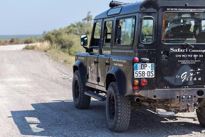 Camargue 4x4 Safari 2 hours Saintes Maries de la Mer - An In-Depth Look at the Camargue 4x4 Safari