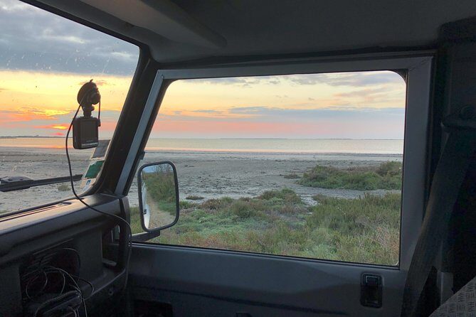 Camargue 4x4 Safari Day - Practical Tips for Your Day