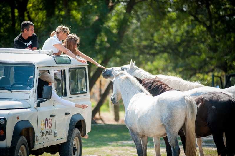 Camargue: Half-Day 4x4 Guided Safari Adventure - Key Points