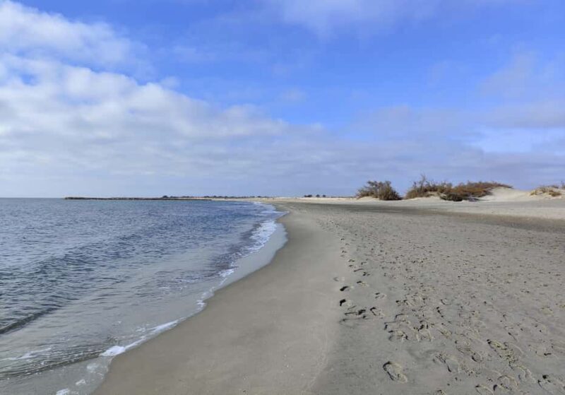 Camargue, its secrets and its magic: an exclusive tour - An In-Depth Look at the Camargue Tour