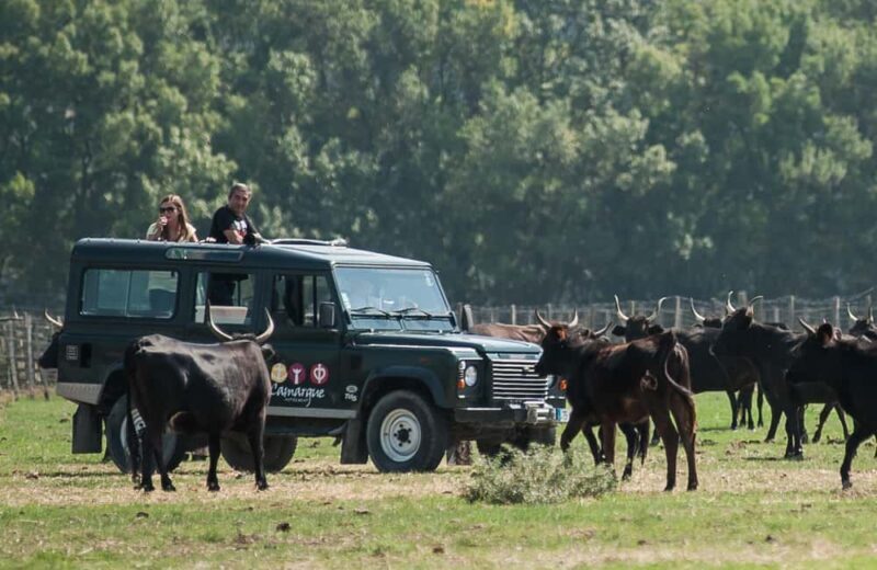 Camargue: Safari 4x4, VIP Tour with Meal 8h, Grau du Roi - Key Points