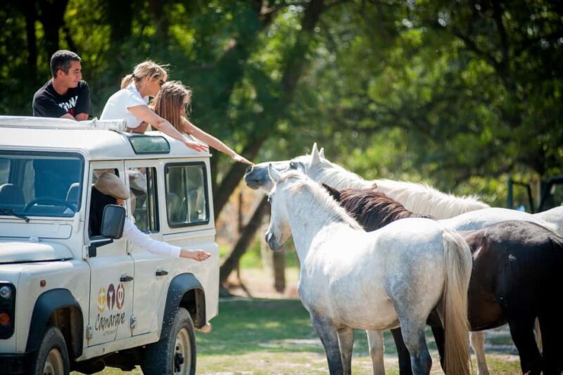 Camargue: Safari 4x4, VIP Tour with Meal 8h, Grau du Roi - FAQ