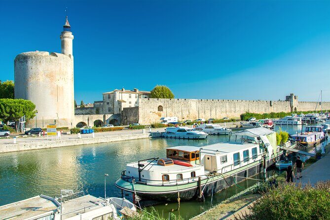 Camargue Small-Group Day Trip from Avignon - Who Will Love This Tour?