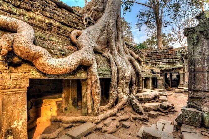 Cambodia Highlight 6 Days Tour from Siem Reap to Phnom Penh - FAQs