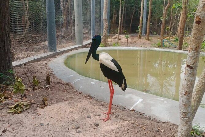 Cambodia Wildlife Sanctuary and Countryside Tour - Authentic Guides & Local Insights