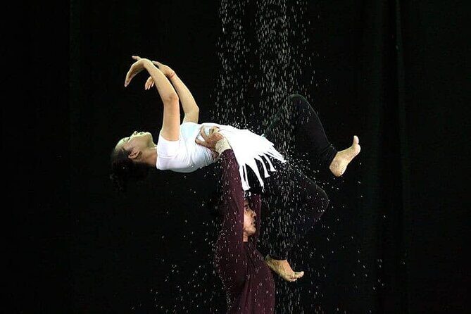 Cambodian Circus Show in Siem Reap by Phare with Hotel Pick-Up - A Deep Dive into the Circus Experience