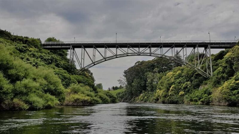 Cambridge, Matamata, Waitomo: 1-Hour Ecological River Cruise - Key Points
