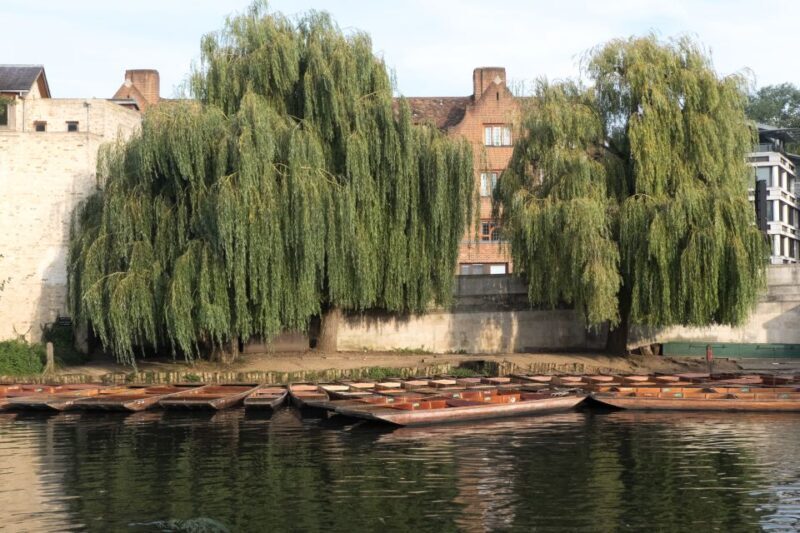 Cambridge: Punting Tour on the River Cam - FAQ about the Cambridge Punting Tour