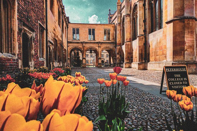 Cambridge's History & Secrets with Self-Guided Walking Tours - What Could Be Improved?