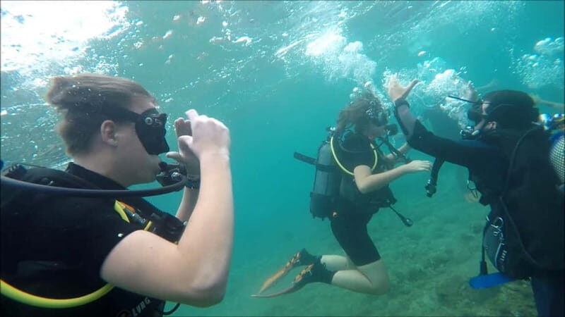 Cambrils: club Scuba Diving for beginners with hotel pickup - A Practical Guide to the Tour Experience