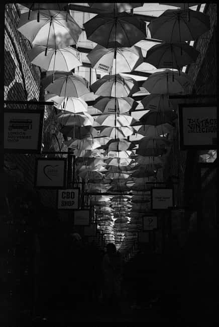 Camden: Photography Tour (Film Cameras Welcome!) - Key Points