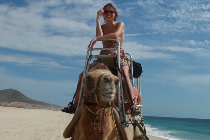 Camel Adventure on the Beach - An Overview of the Tour Experience