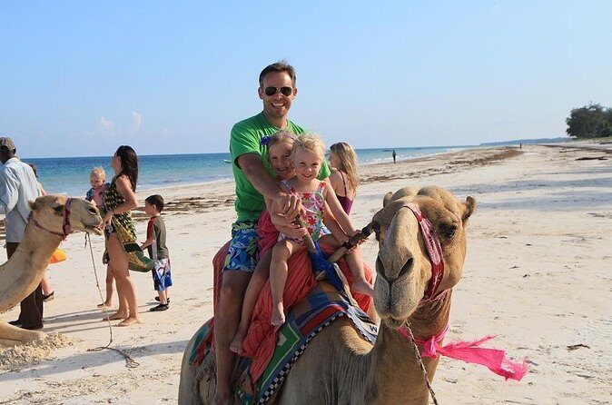 Camel Adventure on the Beach - Pricing and Value