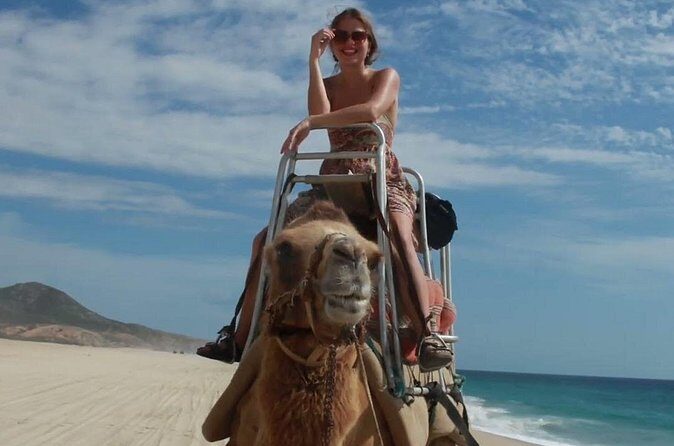 Camel Adventure on the Beach - Reviews and Authentic Feedback