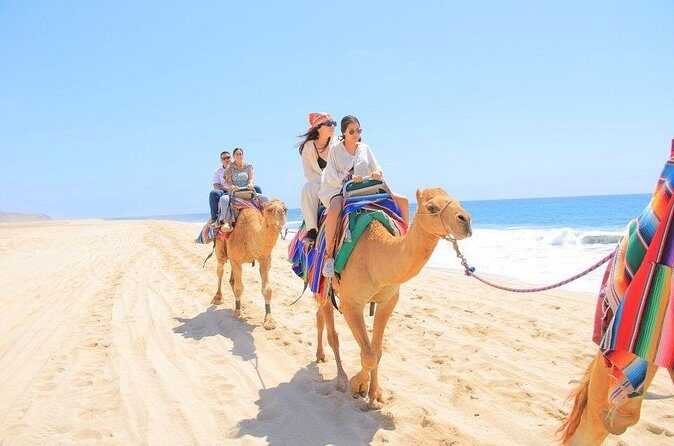 Camel Adventure on the Beach - Final Thoughts: Is This Tour for You?