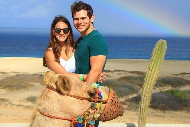 Camel Encounter and Safari Ride. Includes lunch & alcohol tasting - Key Points