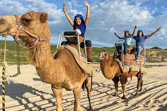 Camel Encounter and Safari Ride. Includes lunch & alcohol tasting - The Value for Money