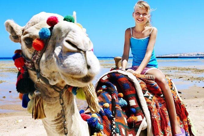 Camel Encounter and Safari Ride. Includes lunch & alcohol tasting - FAQ