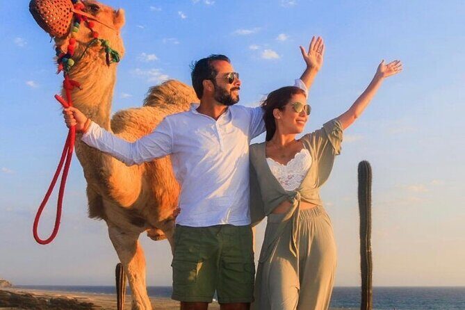 Camel Encounter and Safari Ride. Includes lunch & alcohol tasting - Final Thoughts