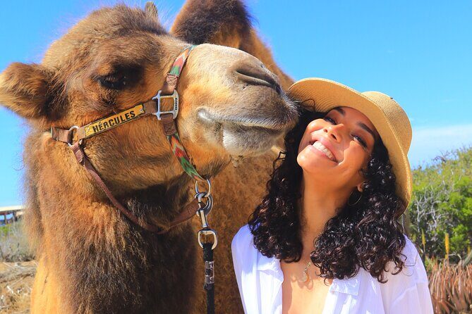 Camel Ride and UTV Combo Adventure, with Tequila Tasting - An In-Depth Look at the Experience