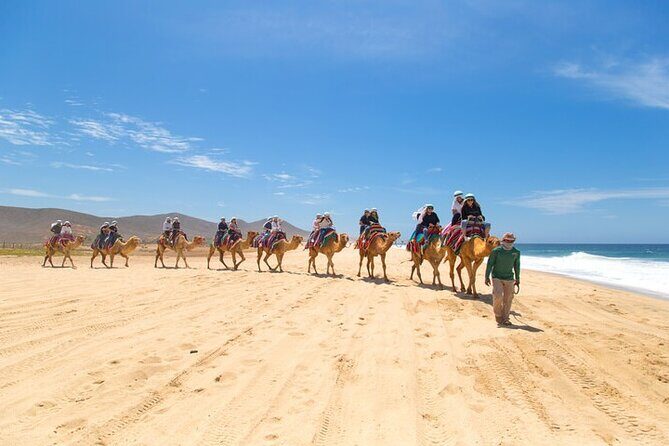 Camel Ride & ATV Combo in Migriño, Mexico - A Closer Look at the Itinerary and Experience