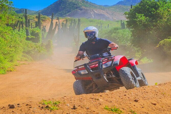 Camel Ride & ATV Combo in Migriño, Mexico - Practical Tips for Travelers