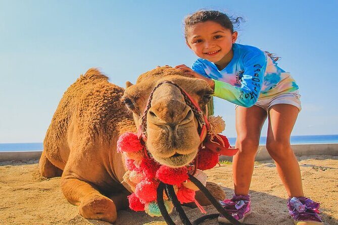 Camel Ride & ATV Combo in Migriño, Mexico - The Sum Up: Is This Tour Worth It?