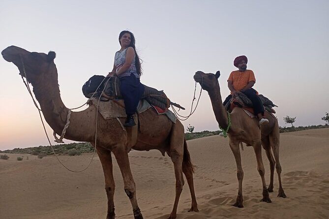 Camel Ride during Sunrise with breakfast - An In-Depth Look at the Sunrise Camel Ride Experience