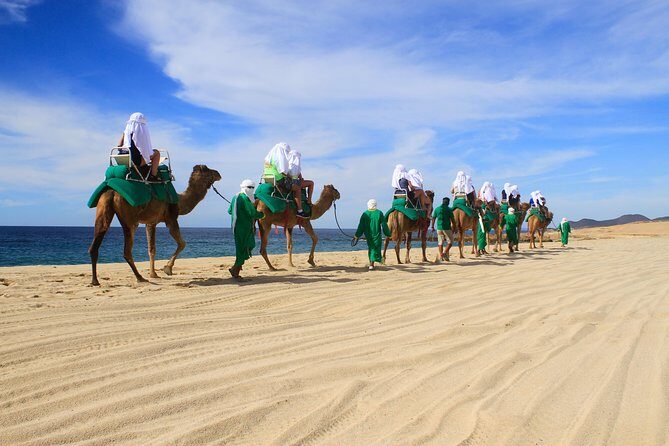 Camel Ride & Encounter at Los Cabos - Key Points