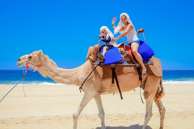 Camel Ride in Los Cabos with Buffet Food and Beer - Food and Drinks: Authentic Mexican Flavors