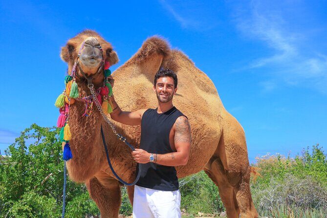 Camel Ride in Los Cabos with Buffet Food and Beer - FAQs