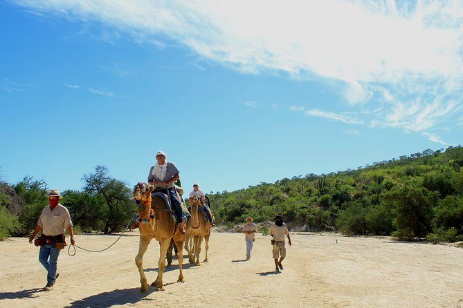 Camel Ride in the Canyon, Thrilling Water Slides and Snacks - Key Points