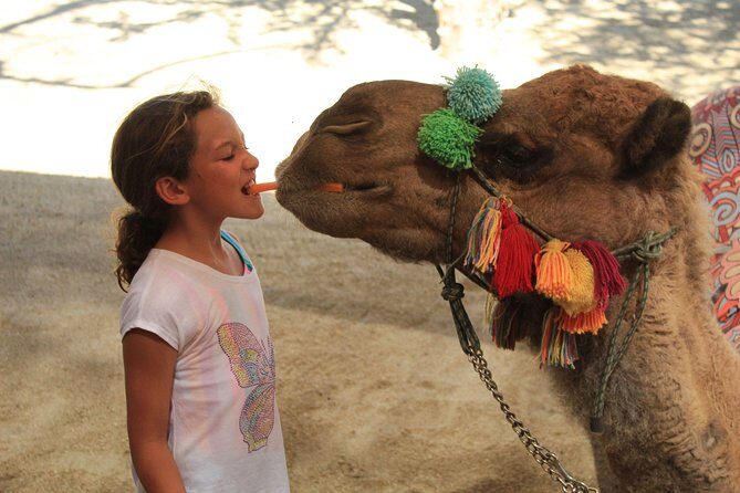 Camel Ride in the Canyon, Thrilling Water Slides and Snacks - FAQ