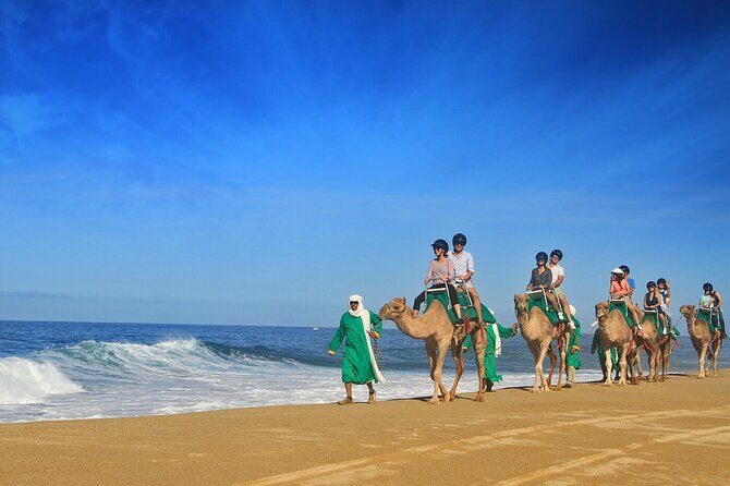 Camel Ride On The Beach at Los Cabos - Who Will Love This Tour?