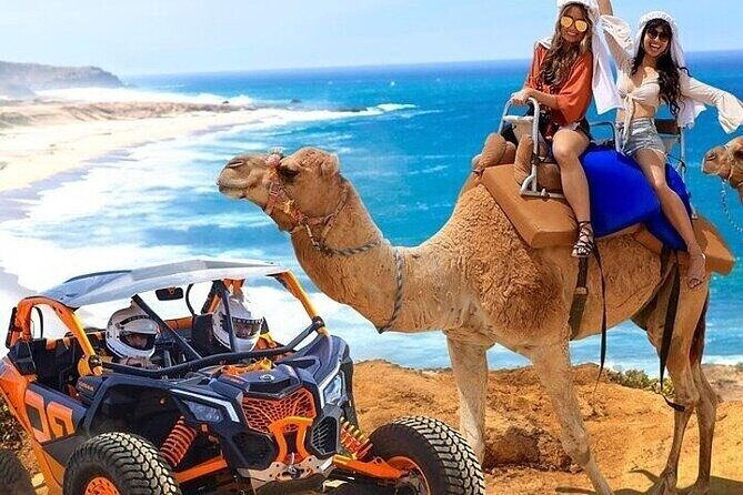 Camel Ride, UTV, and The Arch Tour with Lunch & Tequila Tasting! - Practical Tips for Travelers