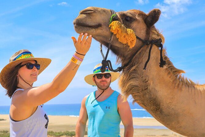 Camel Ride with Tequila Tasting and Lunch in Los Cabos - Who Will Love This Tour?