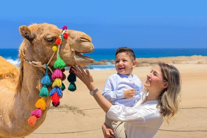 Camel Ride with Tequila Tasting and Lunch in Los Cabos - Final Thoughts: Is It Worth It?