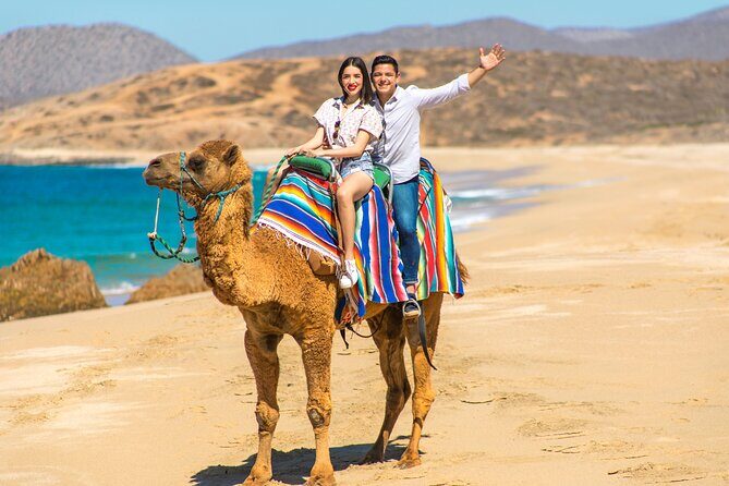 Camel riding experience on the shores of the Pacific Ocean - The Experience in Detail