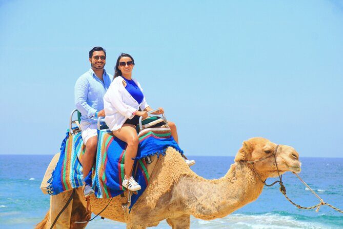 Camel riding experience on the shores of the Pacific Ocean - Practical Tips for Visiting