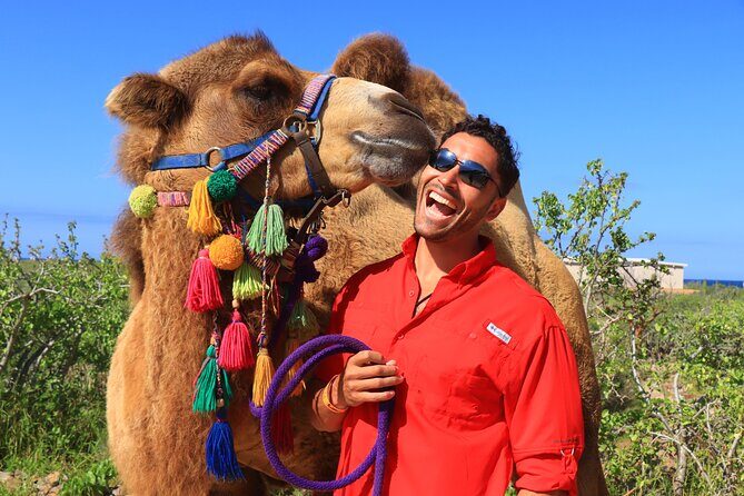 Camel riding experience on the shores of the Pacific Ocean - FAQ