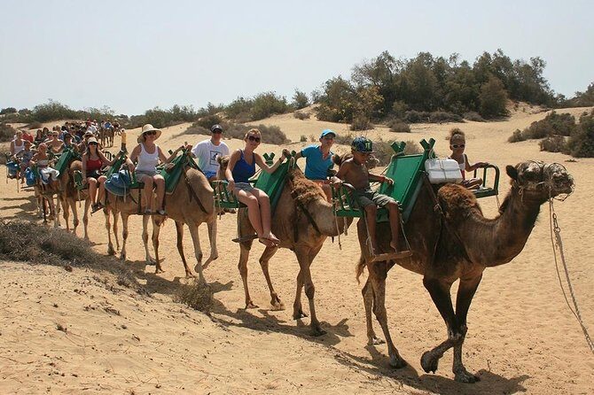 Camel Riding in Maspalomas Dunes - Exploring the Maspalomas Camel Ride Experience