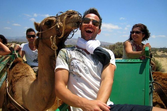 Camel riding in the dunes of Maspalomas - Key Points