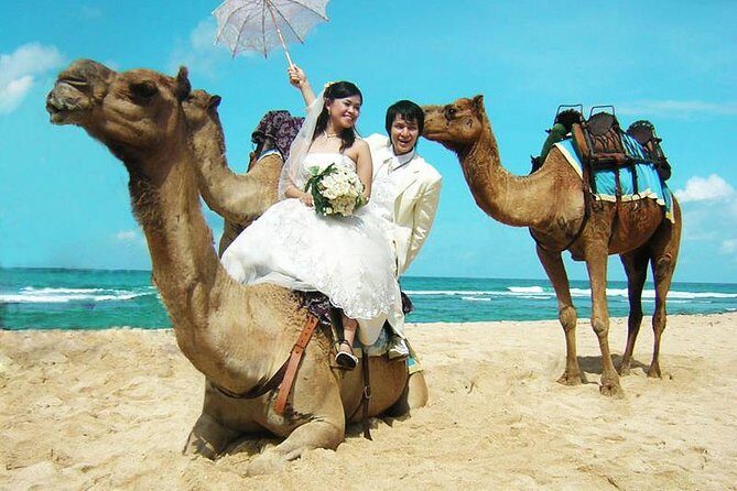 Camel Safari 30 minutes In White Sand Beach - Review of the Camel Safari 30 Minutes in White Sand Beach