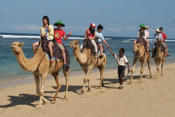 Camel Safari 30 minutes In White Sand Beach - Key Points