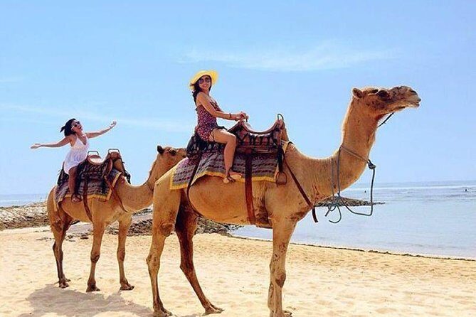 Camel Safari 30 minutes In White Sand Beach - Who Should Consider This Tour?