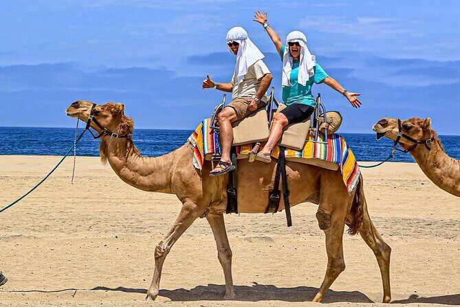 Camel Safari and Gastronomic Experience in Los Cabos - Detailed Breakdown of the Experience