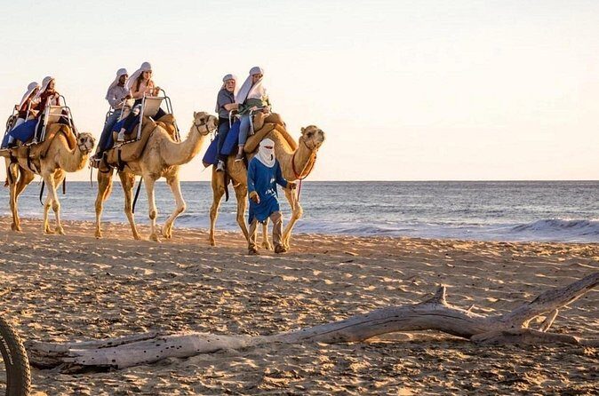 Camel Safari and Gastronomic Experience in Los Cabos - Who Will Love This Tour?